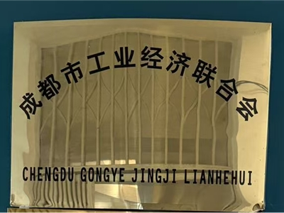 深化协会协同 共促产业发展 —— 省咨询协会应邀走访成都市工业经济联合会